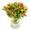 Kytice tulipánů